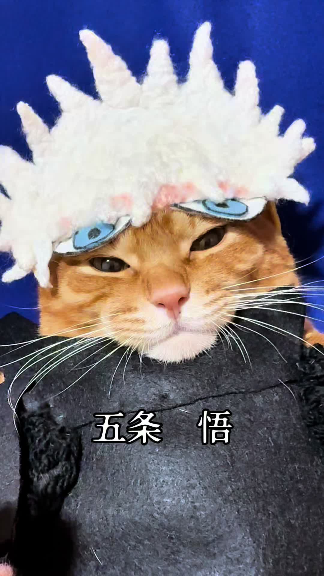 @猫の神様