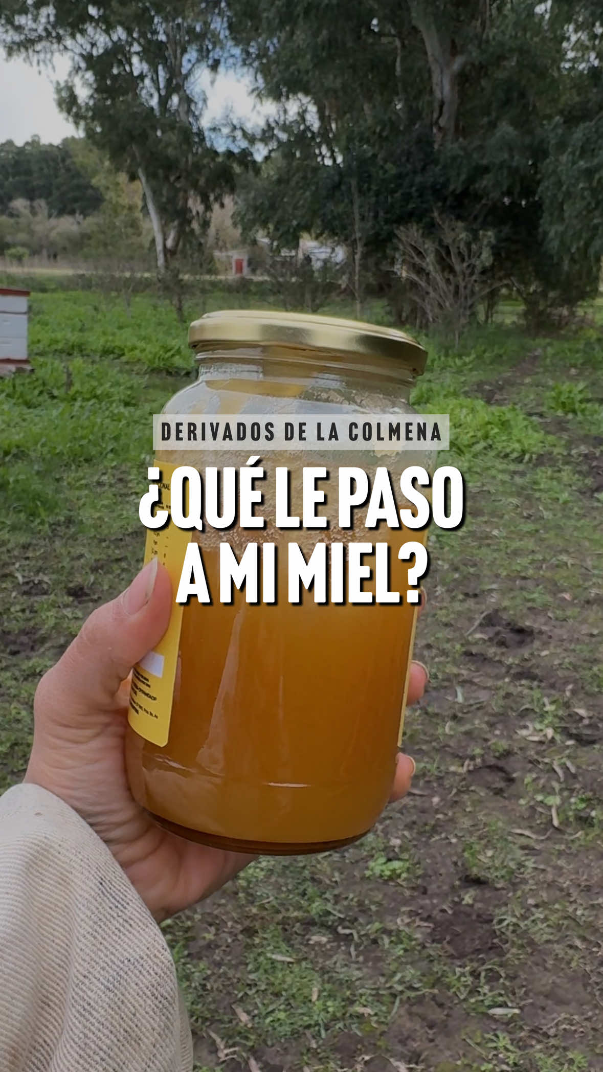 @apicola.donjuan