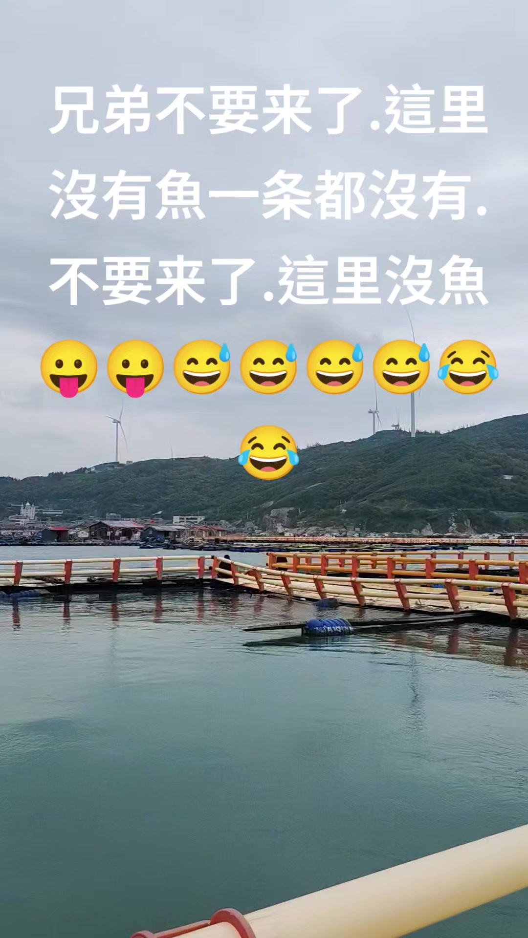 @jj12345yyy