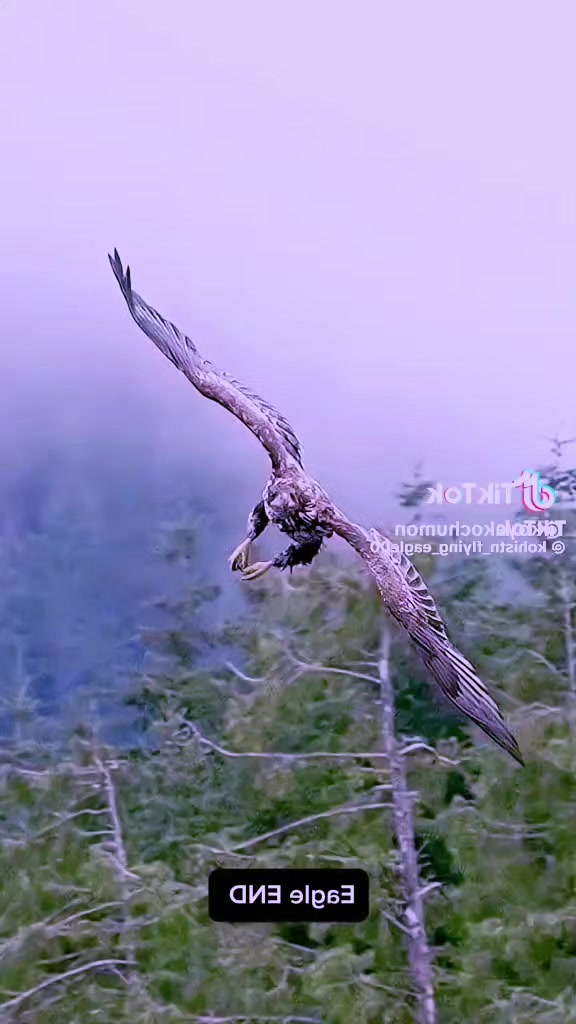 @❤️SHYLA ❤️KOTTAYAM❤️