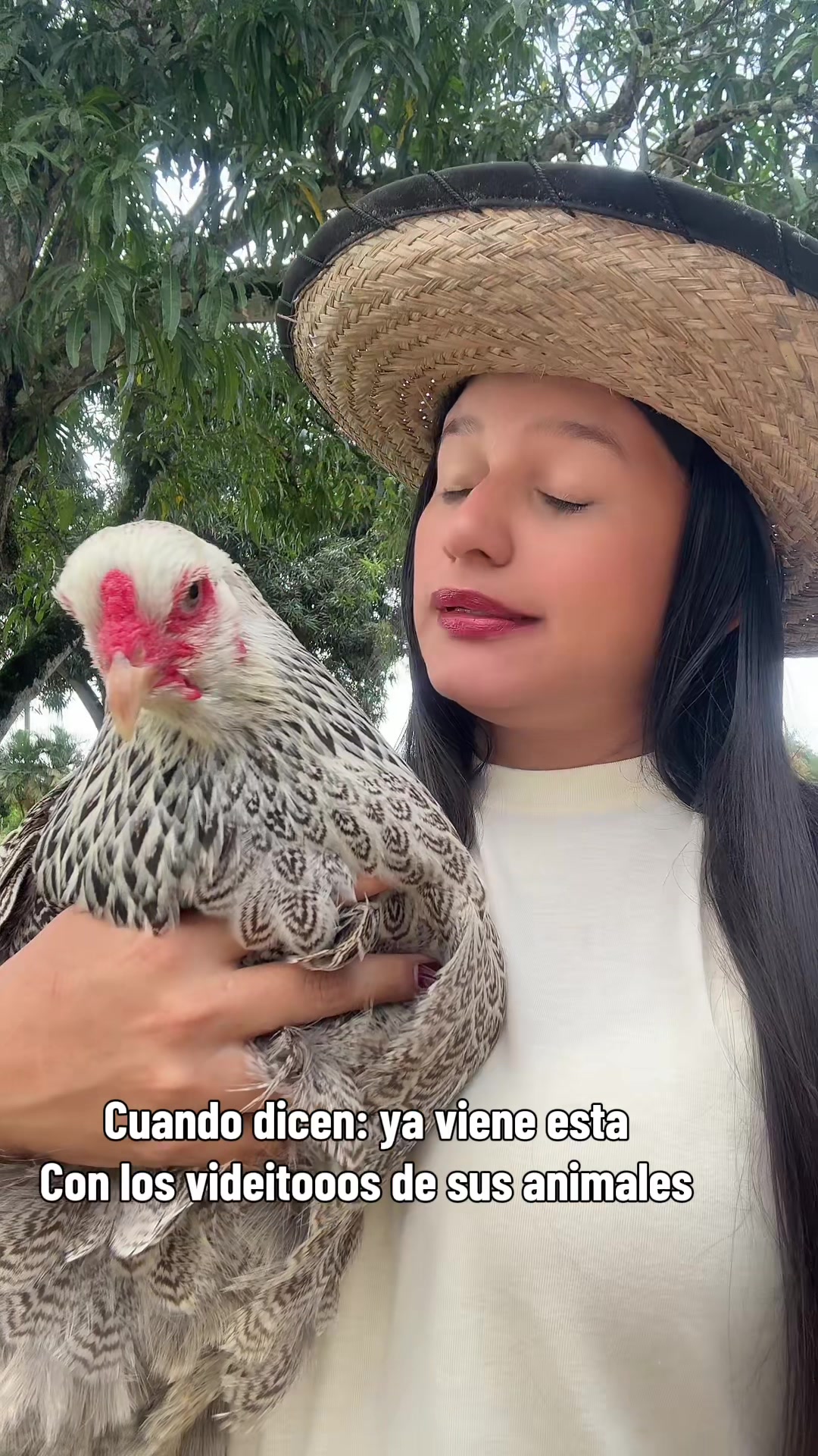 @Granjamascotalandiayaracuy