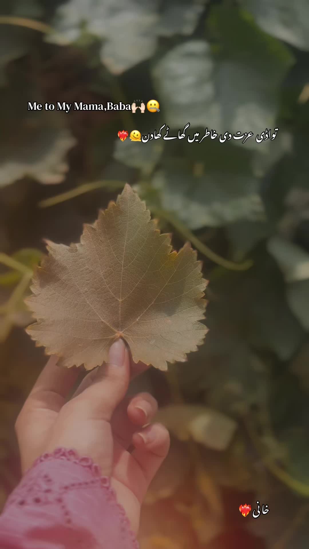 @خانی❤️🔥