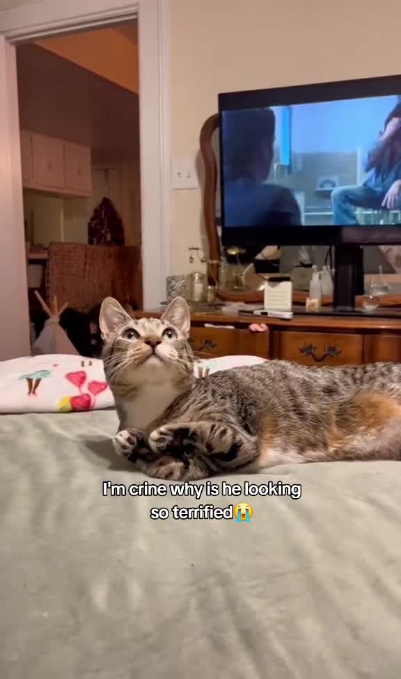 @𝓔𝓶𝓮𝓵𝔂