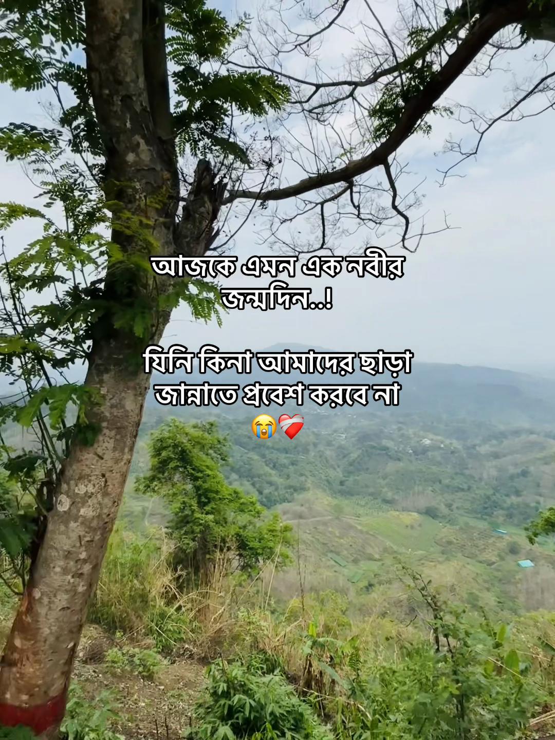 @🎀 ÐɽēAṁ ĠṛǐŁ 🎀