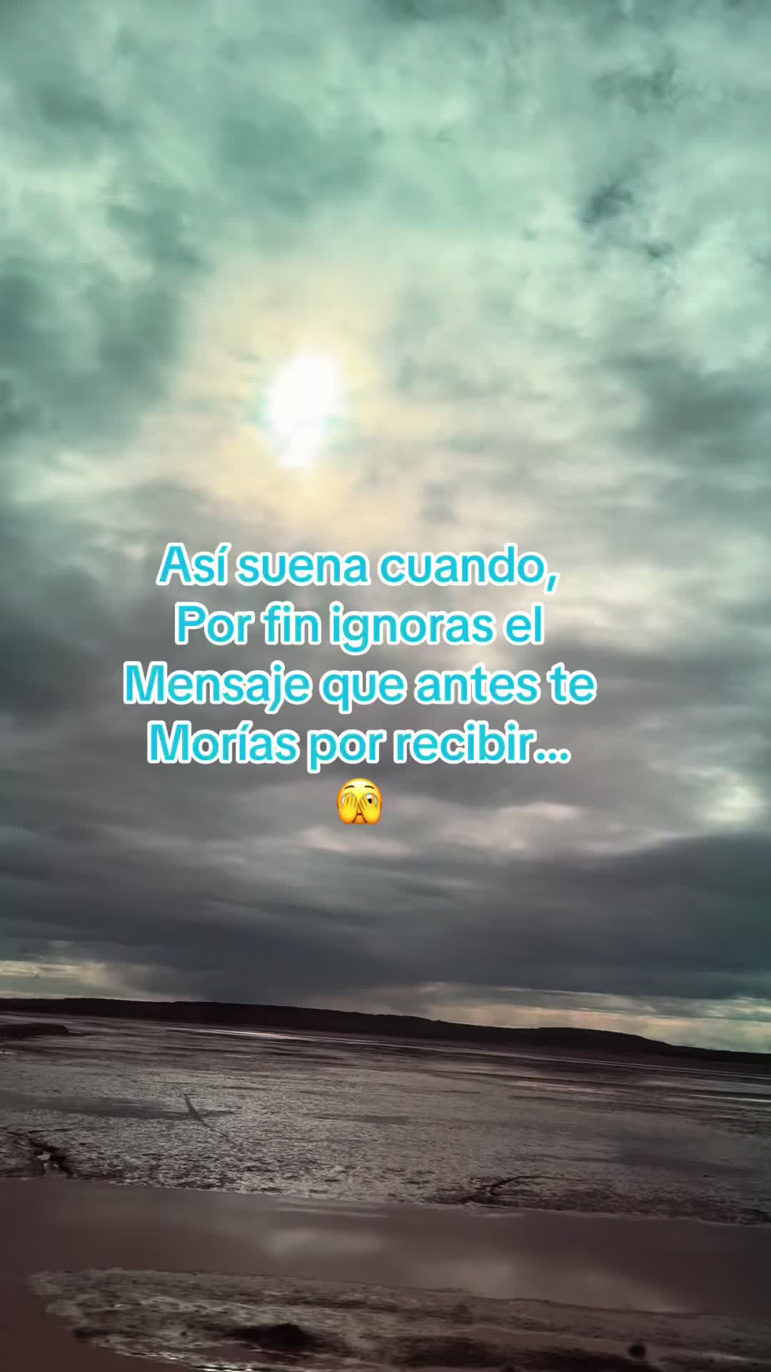 @ᴱᴸᵞ🤍