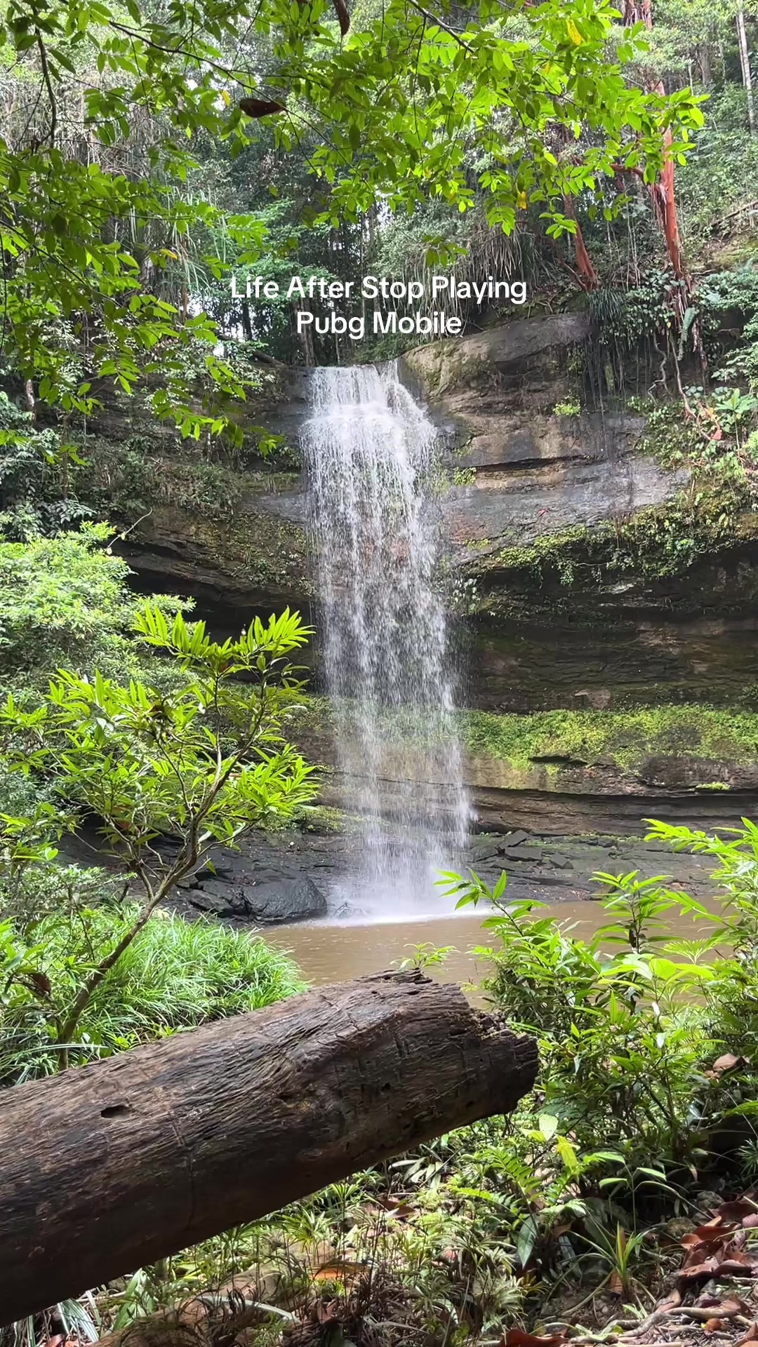 @Chrmell🧋