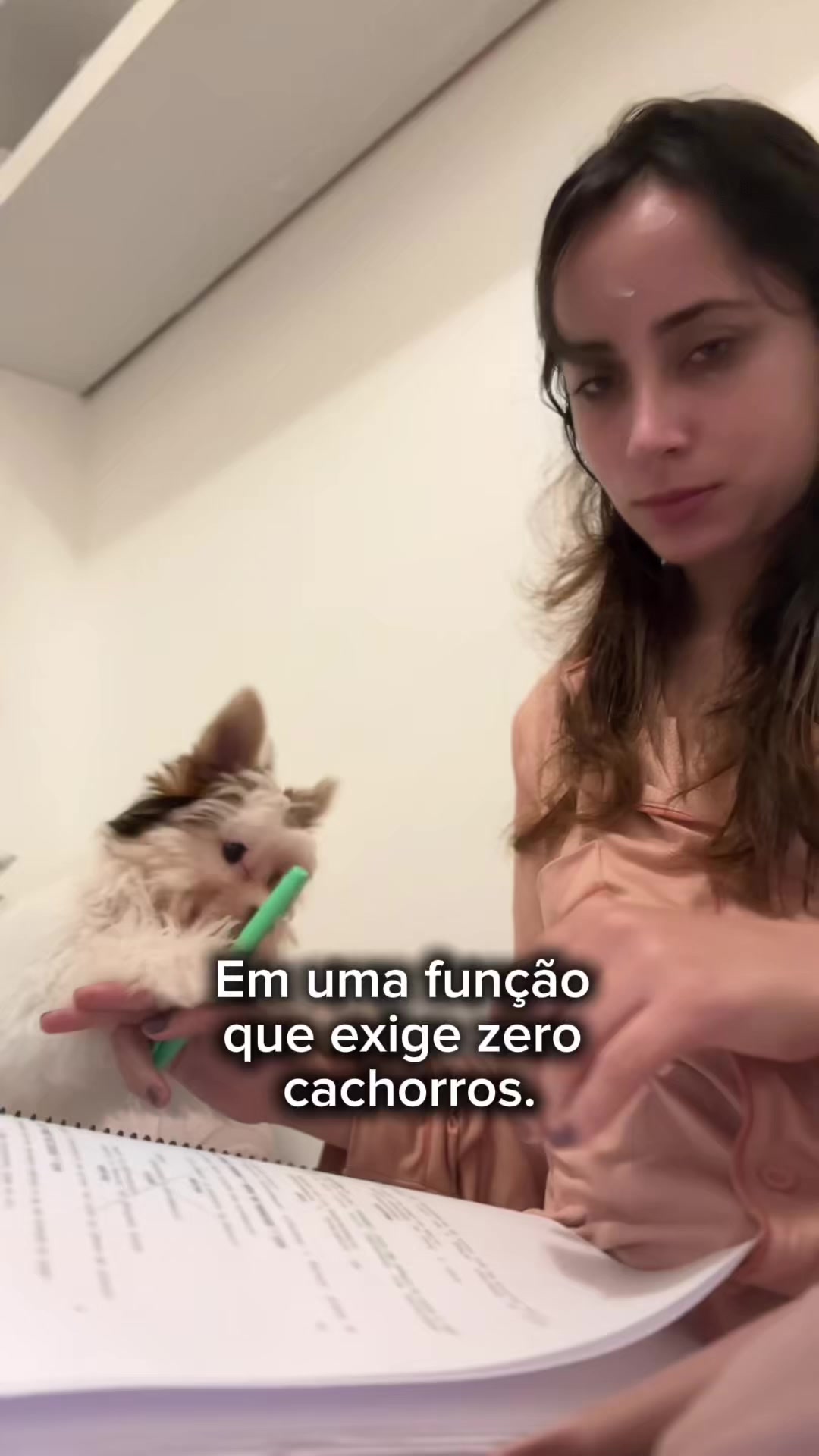 @manumacedof_