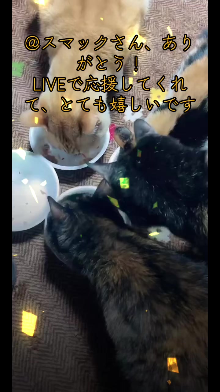 @かあこ