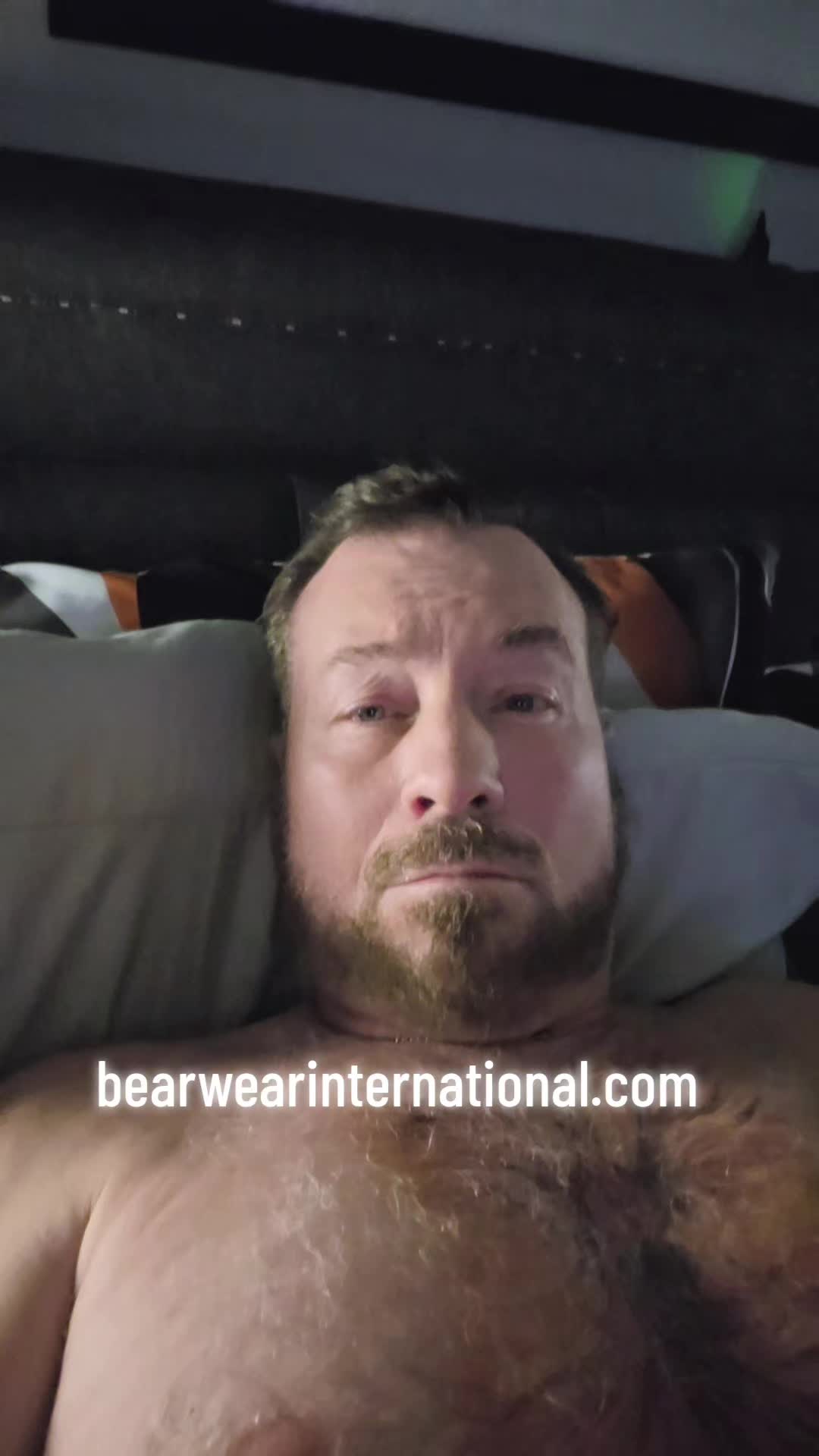 @BearWear International