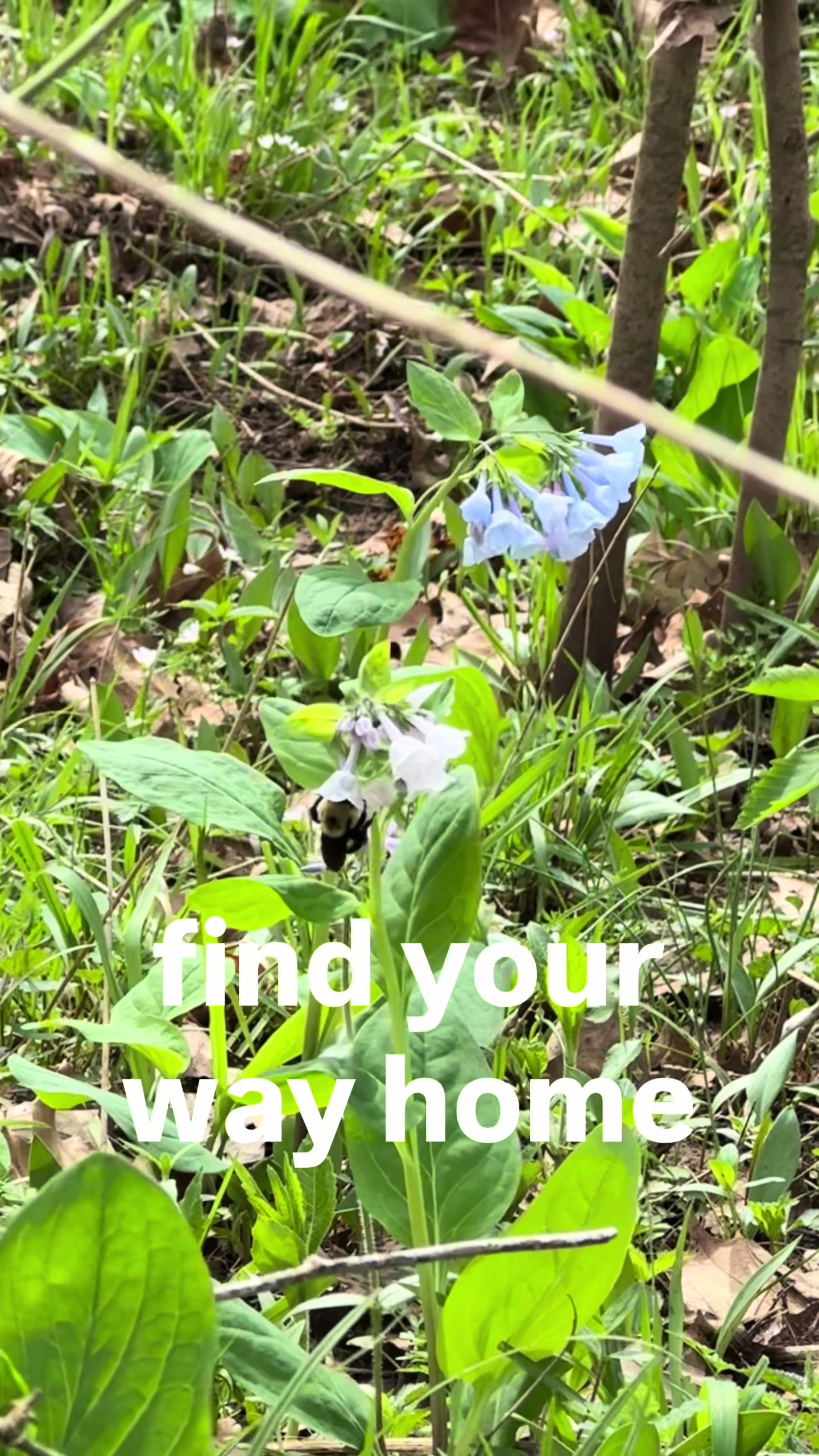 @ab_undance