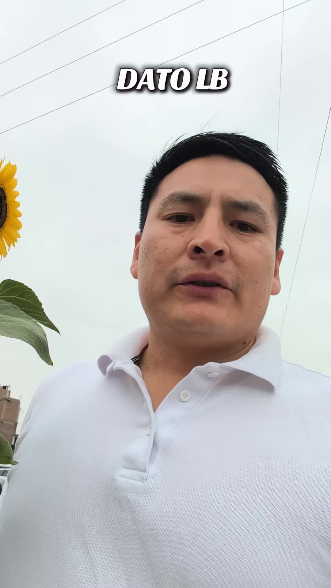 @LB.Electricidad