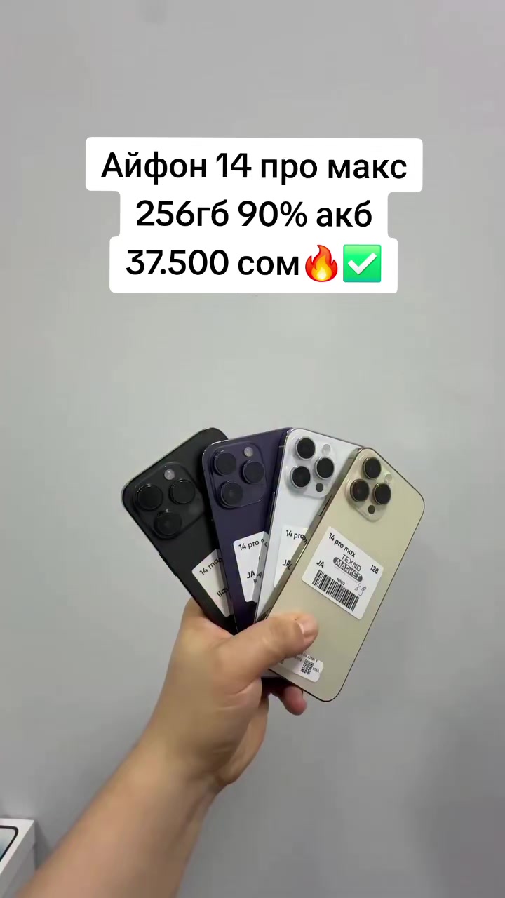 @0504 709 709📲