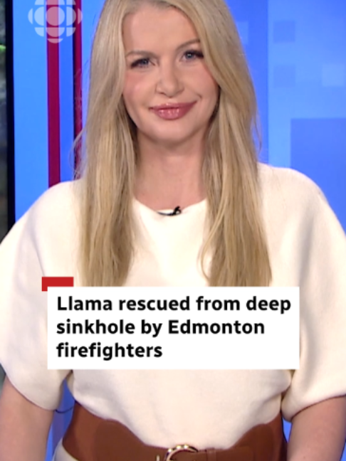 @CBC Edmonton