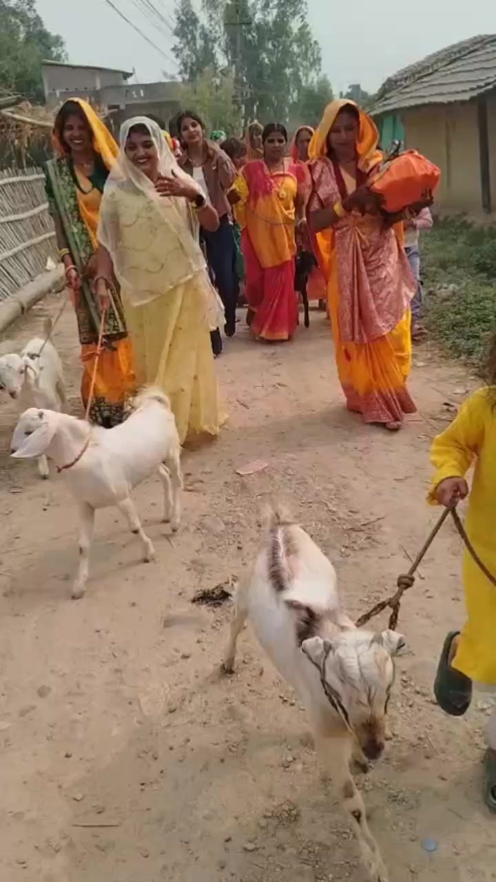 @Sunil ke rani