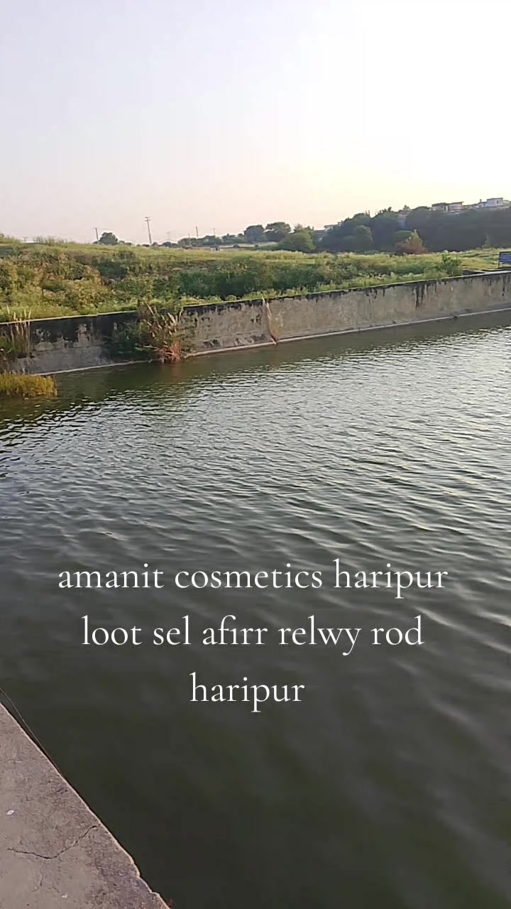 @amanit 98