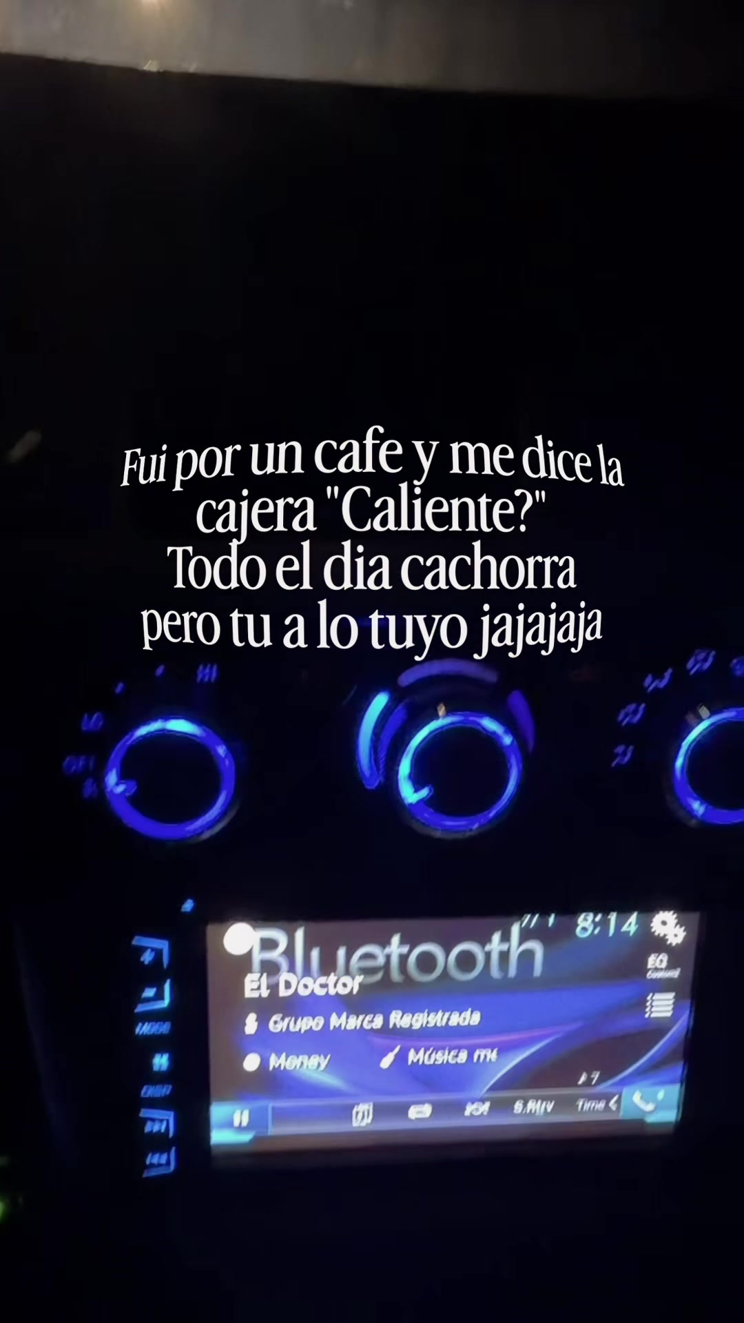 @José Kush