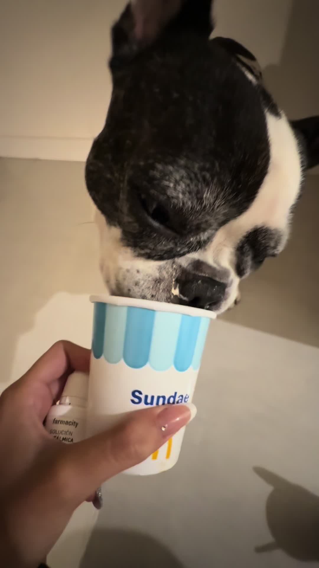 @isaamuninn