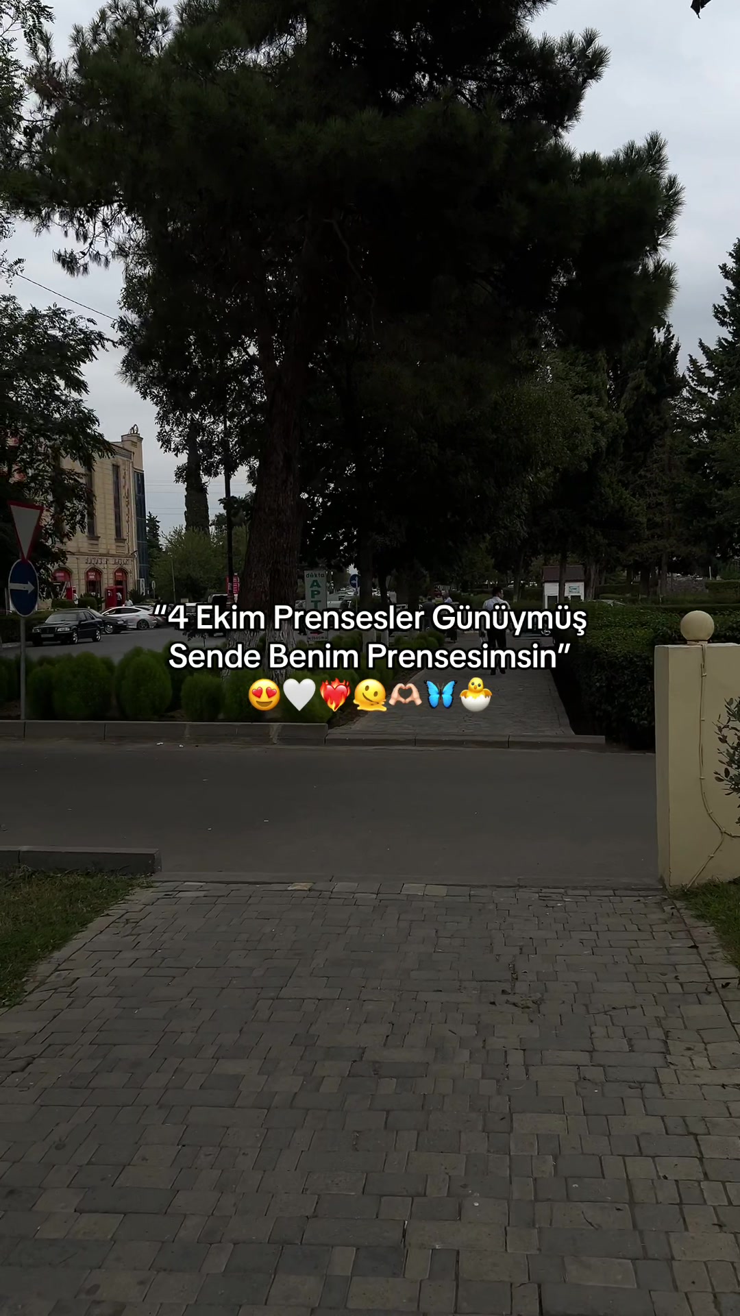 @Ağayevsss⚡️