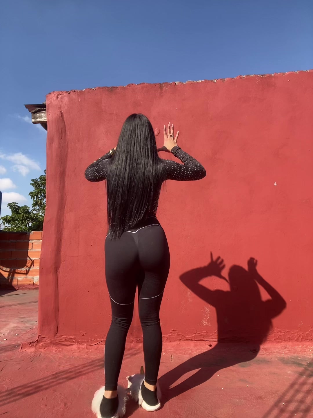 @aylu_oficial23