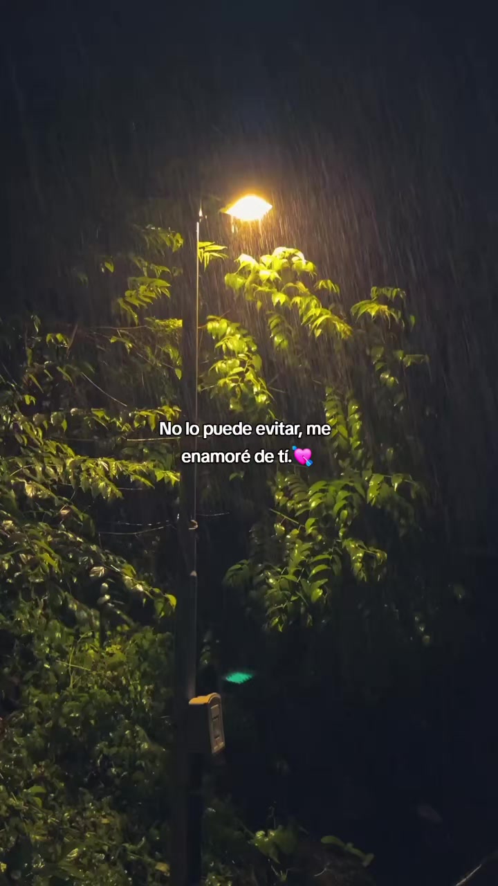 @FRASES🧃