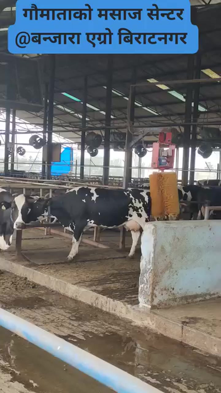 @Banjara Agro