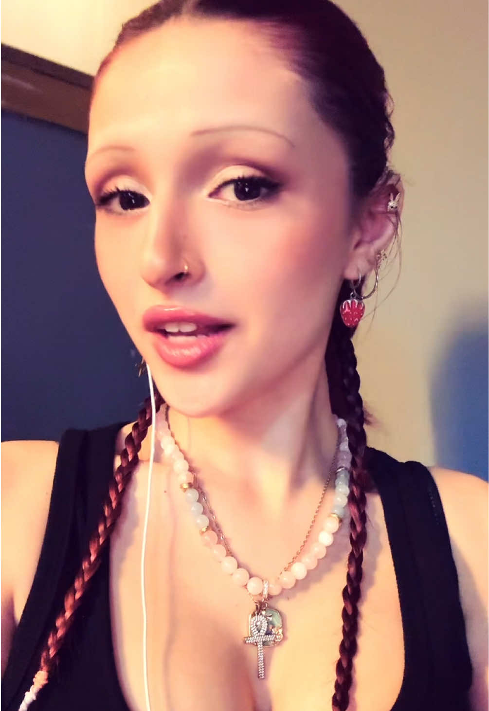 @v1snebrownie