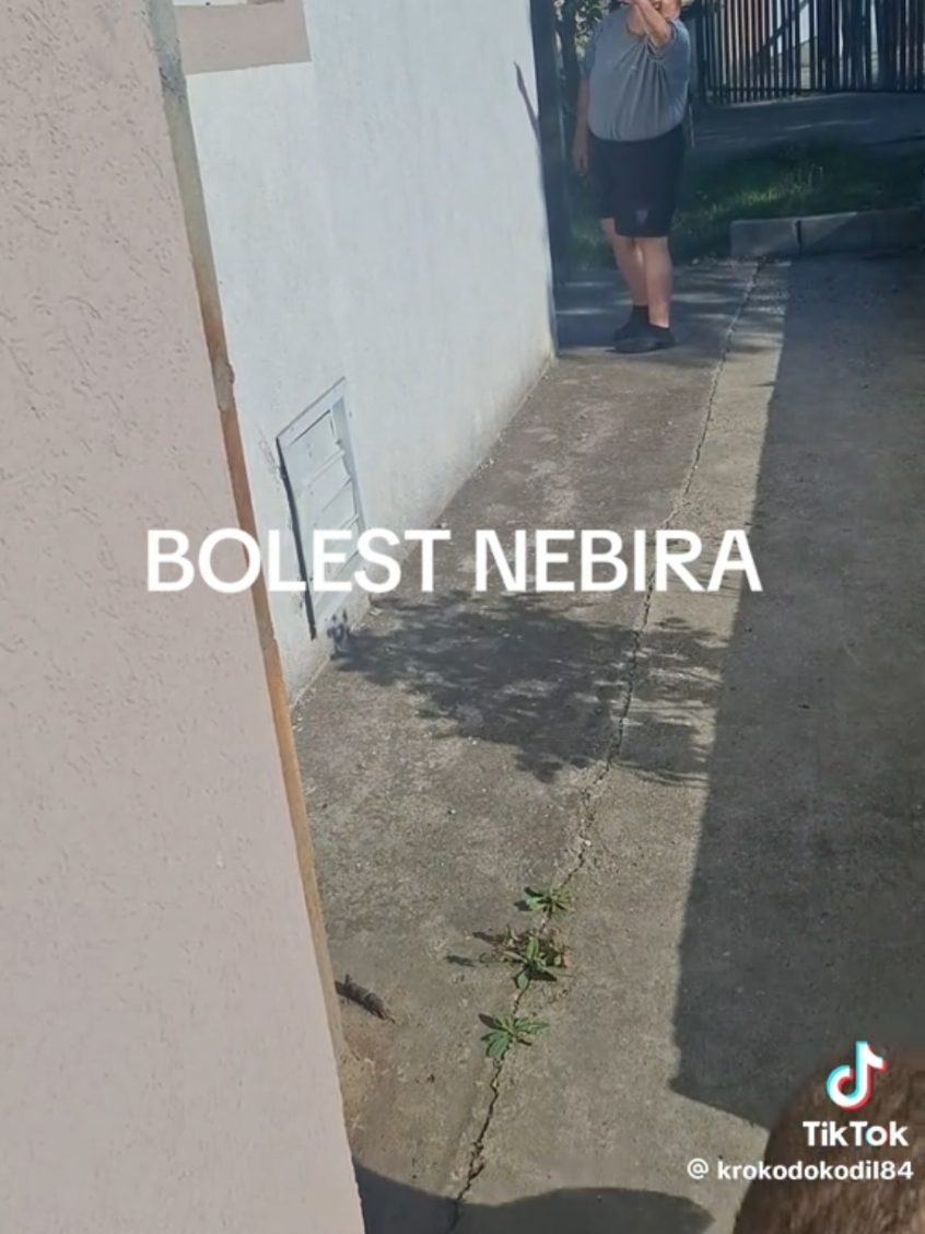 @🛑BALKAN SKANDAL🛑