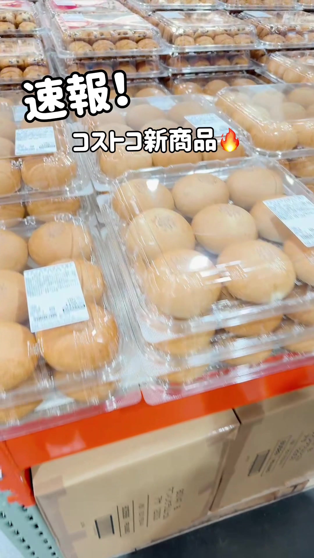 @毎日コストコに通う主婦🥤てこ