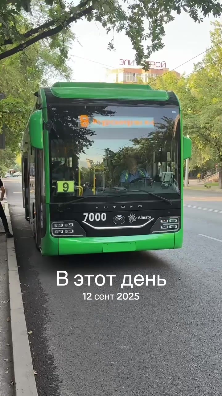 @𝔞𝔩𝔱𝔦_𝔟𝔲𝔰𝔰𝔢𝔰☑️