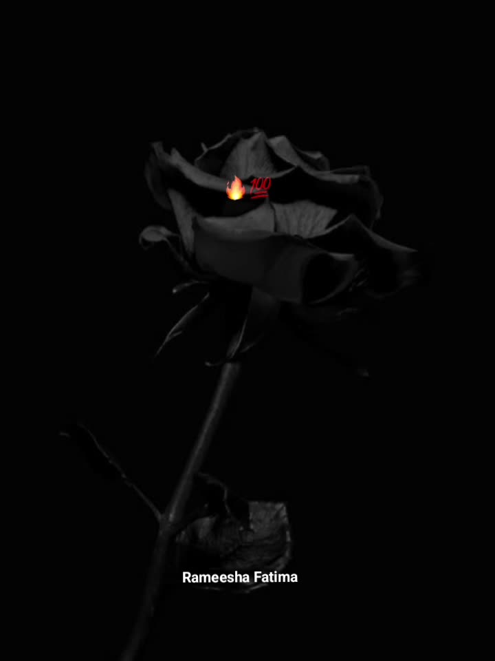 @Rameesha Fatima