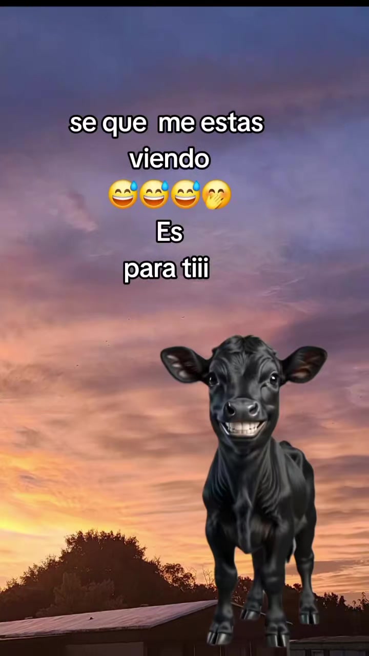 @𝑺𝒊𝒍𝒗𝒚 𝑶𝒔𝒐𝒓𝒊𝒐