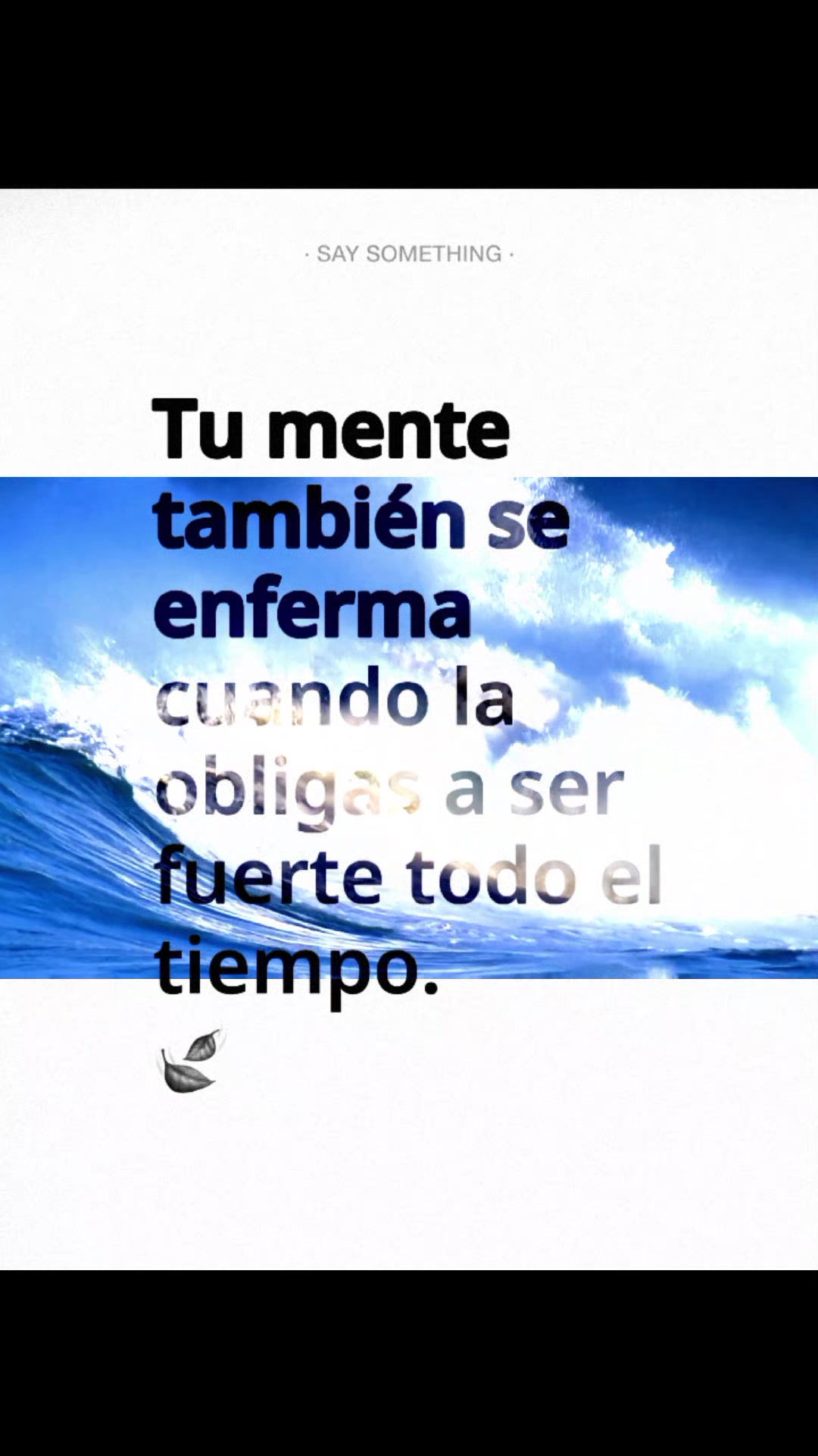 @torito