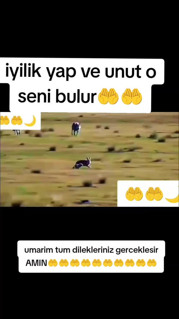 @X A L K