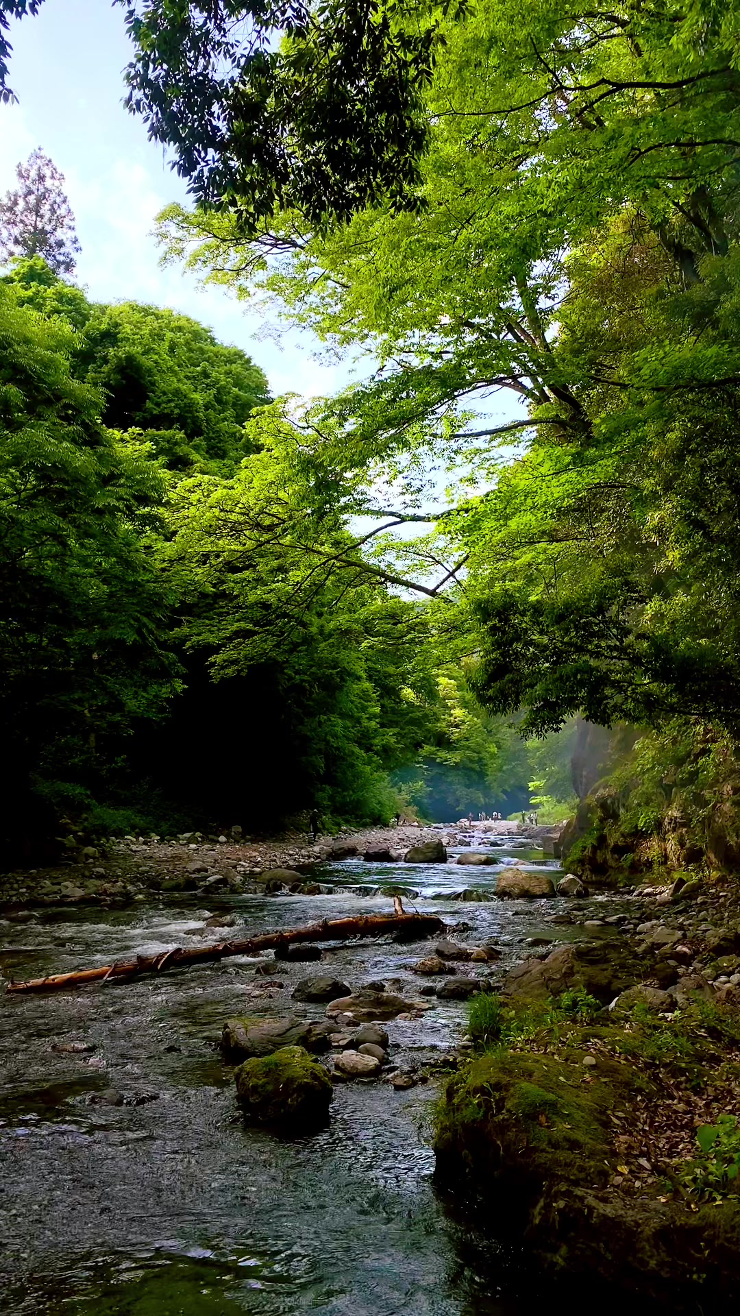 @Beauty of Japan