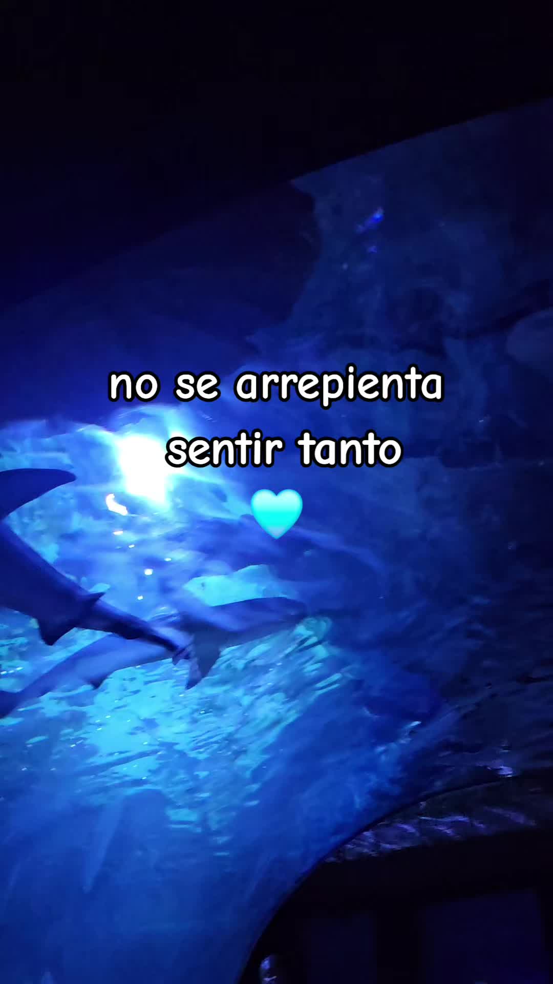 @Isabela