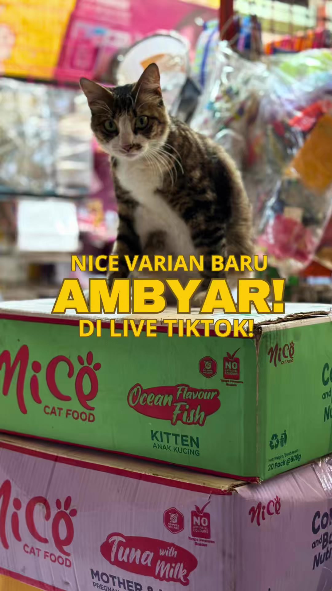 @bejo petmart