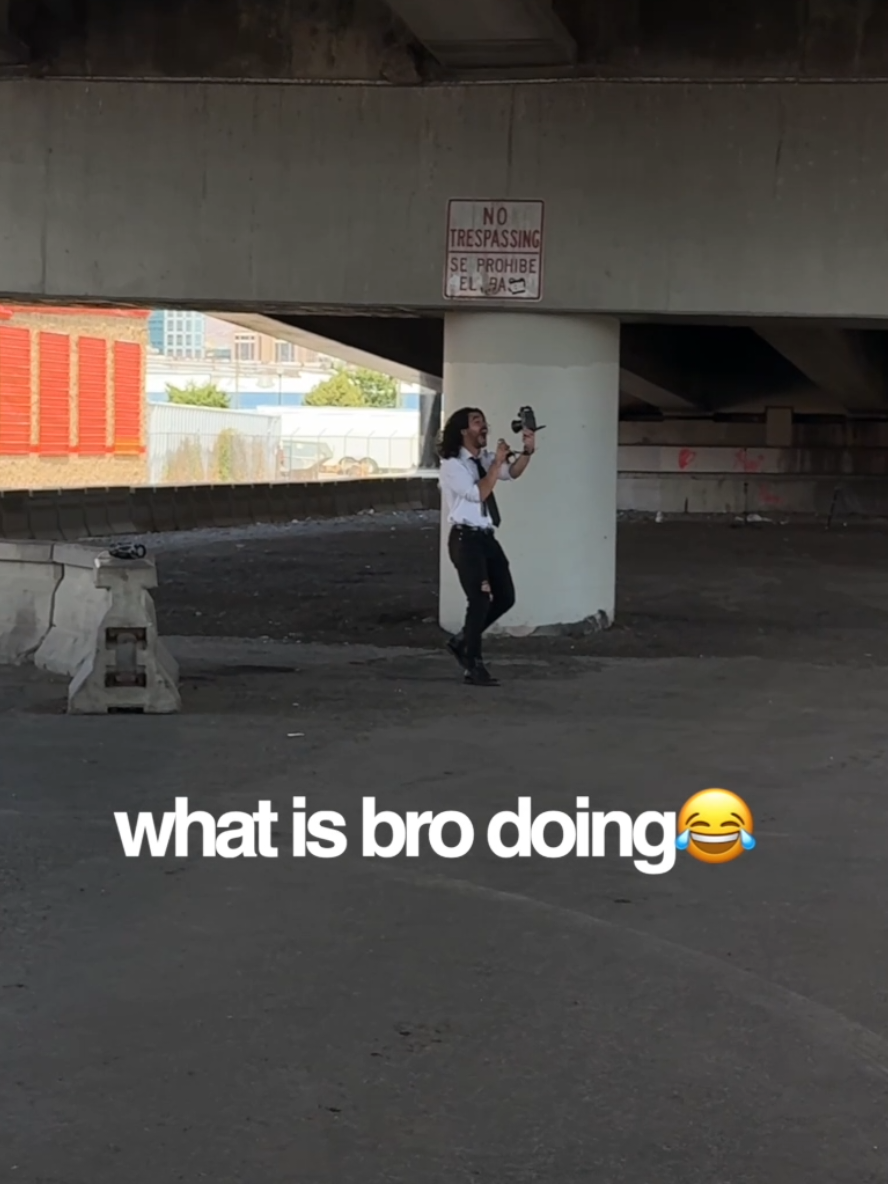 @lalionofficial