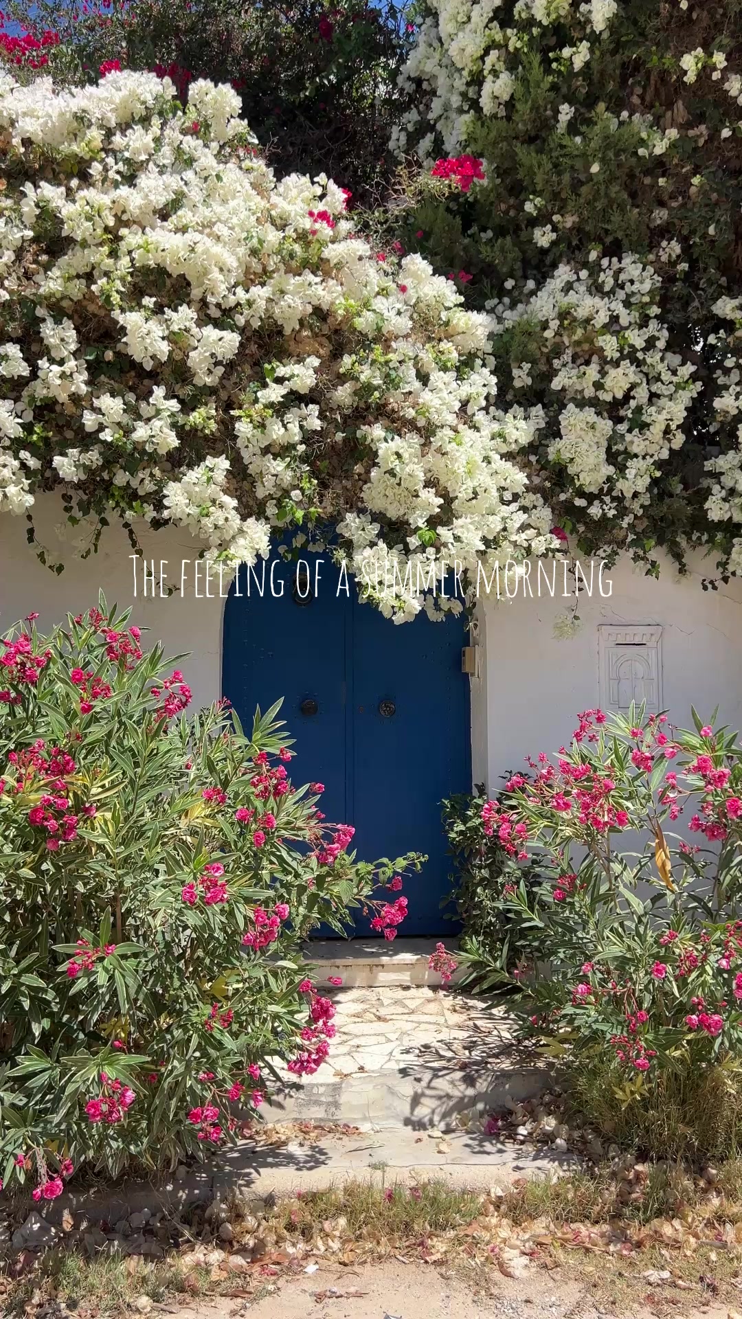 @فَاطِمَة