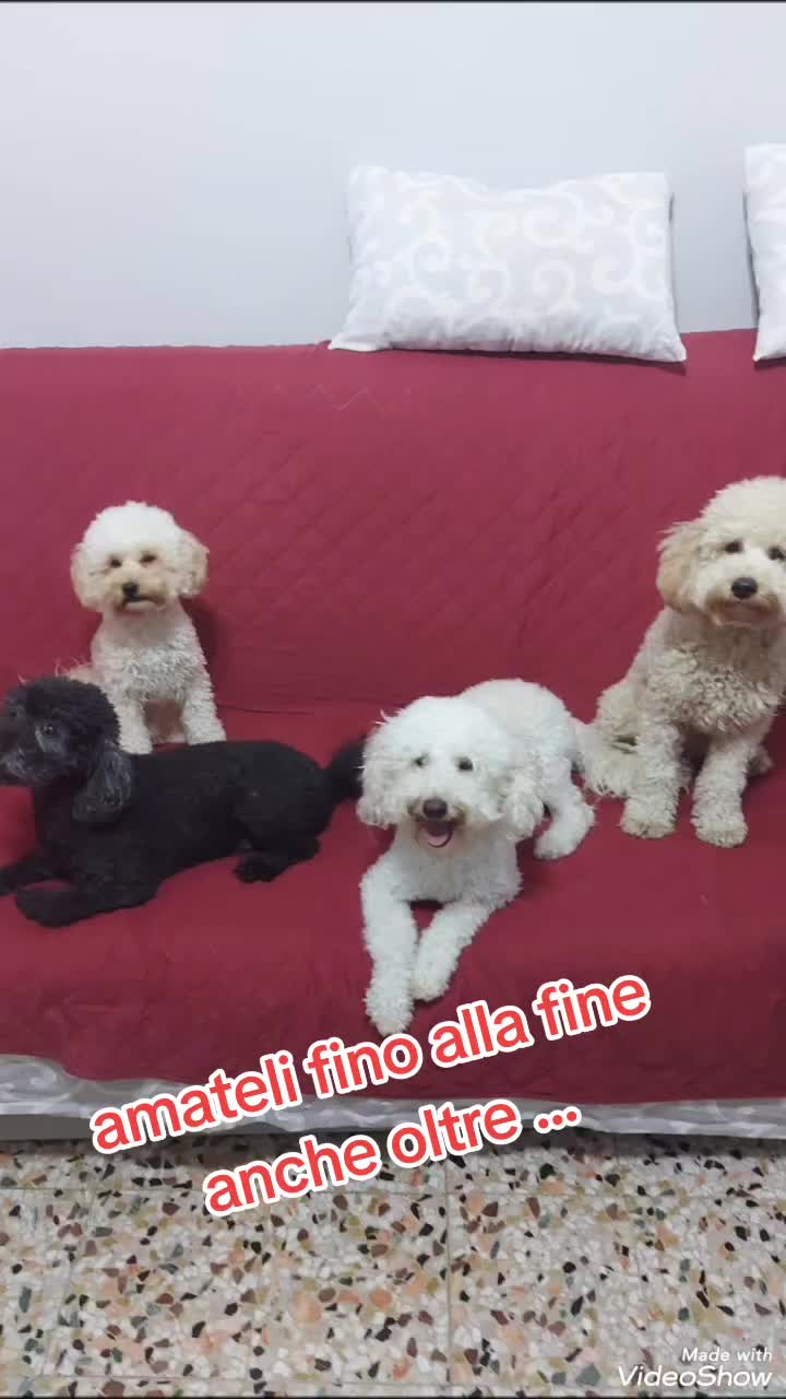 @Marco