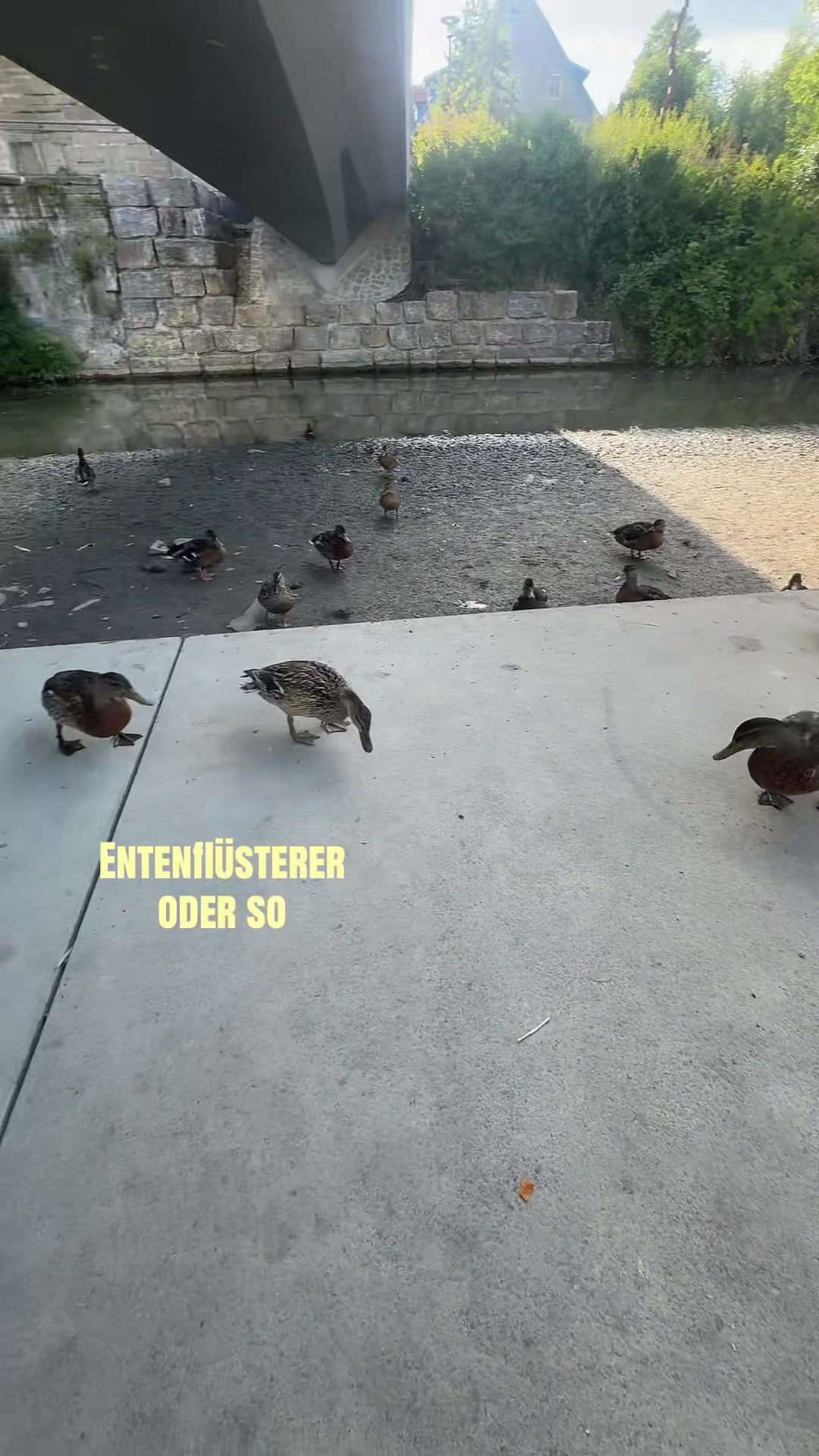 @𝓐&lsquo;🐊🍸
