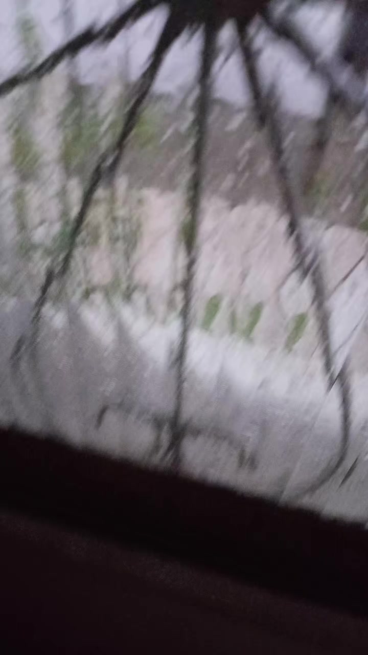 @bennerniceman