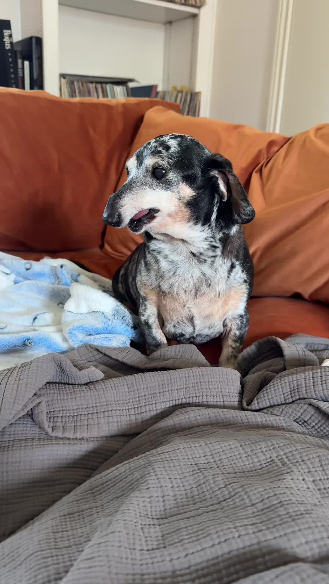@agedsausages