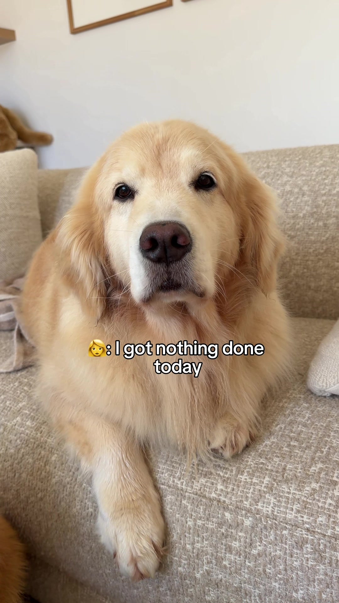 @Maui, Ruby +Hugo