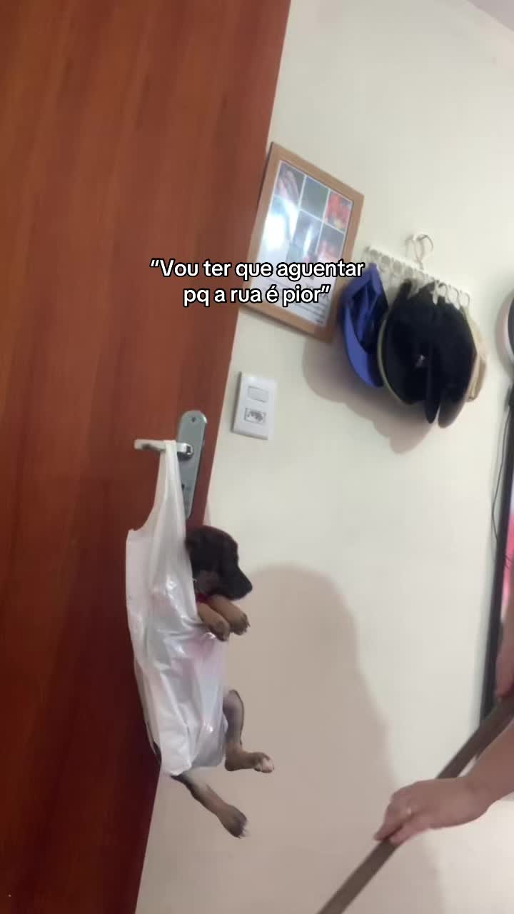 @ias🧸