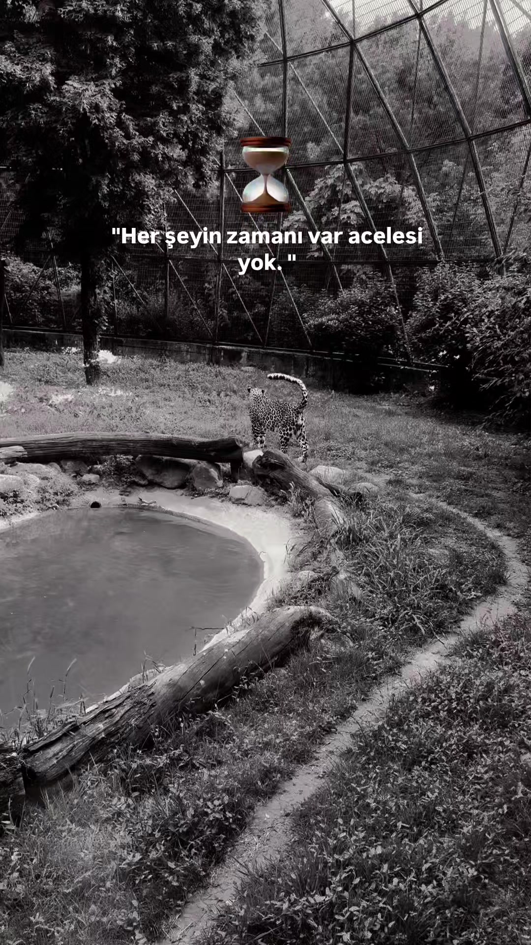 @𝘚𝘵𝘰𝘳𝘺 𝘚𝘢𝘺𝘧𝘢𝘮💫