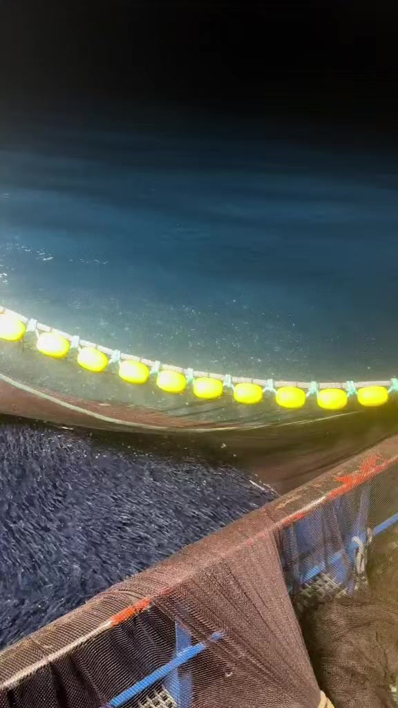 @🛳️h&agrave;m&igrave;d&oslash;⚓⚡R&aelig;ys&euml;🐬🏴&zwj;☠️