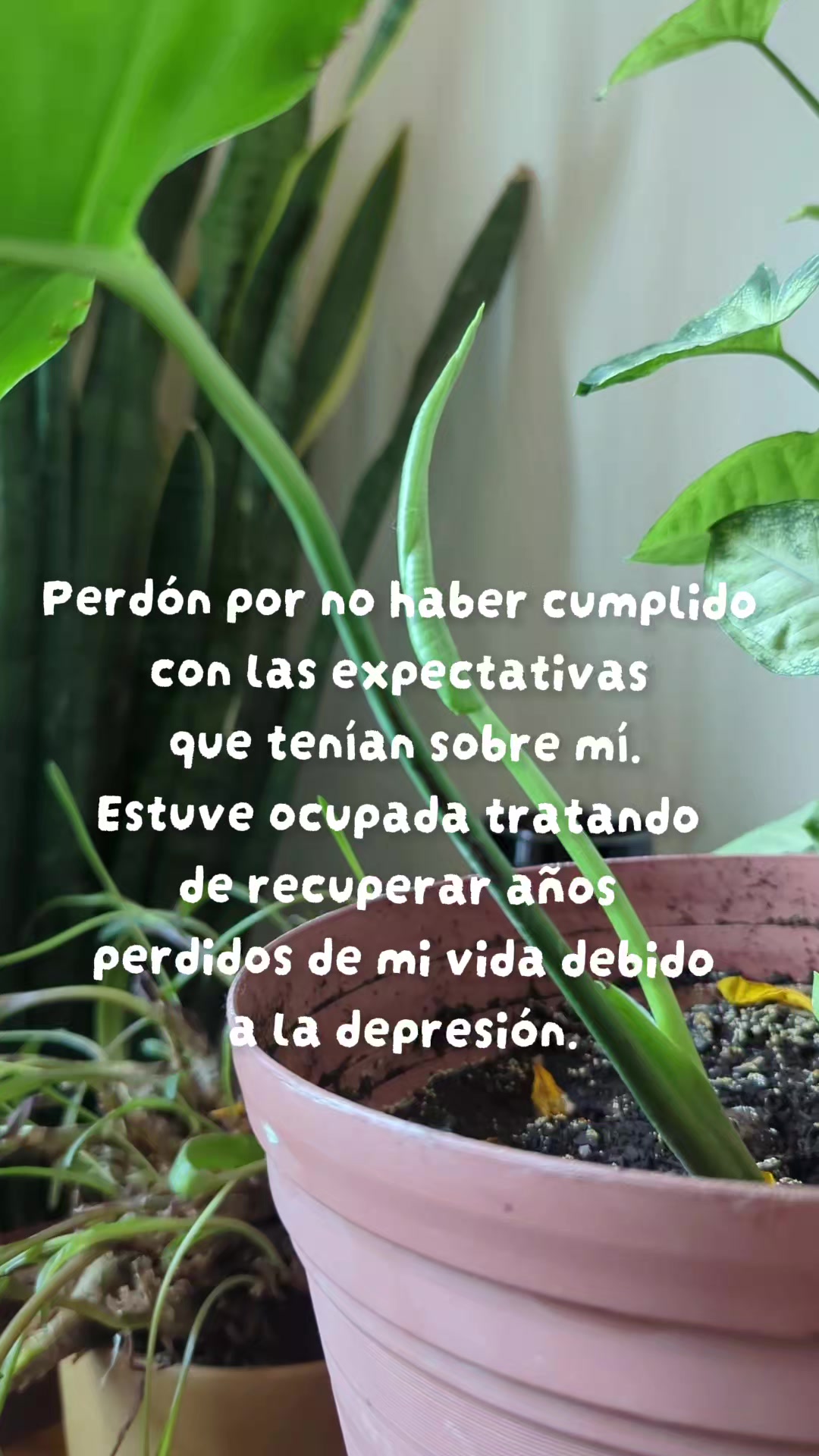 @Anfisbena