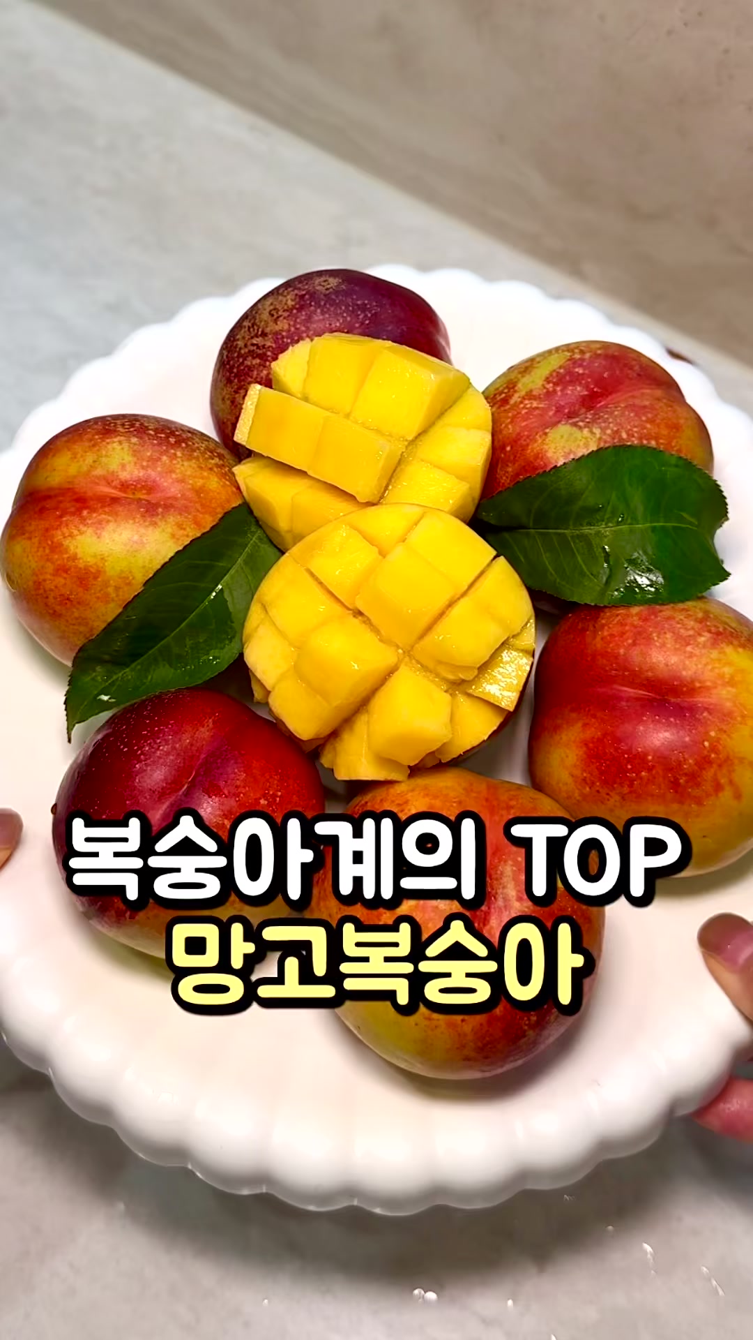 @바니얌 bani.yum