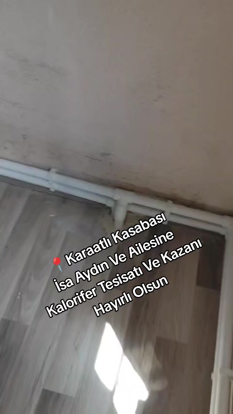 @Tolga Isı
