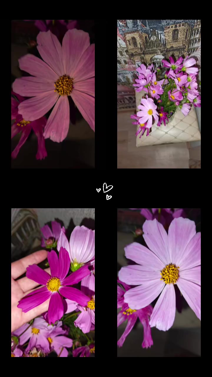 @user1595281144376